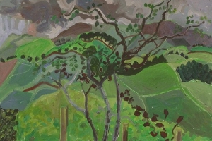 Looking towards Cumrew