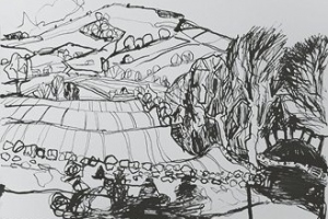 Looking onto Coombe Eden