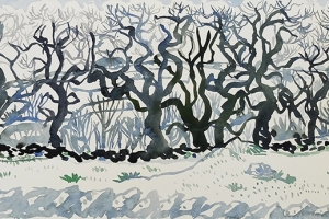 above-crosy-ravonsworth-cmyk