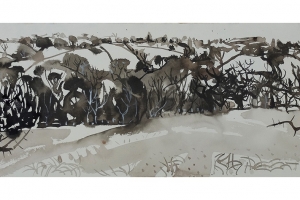 Sleagill-1