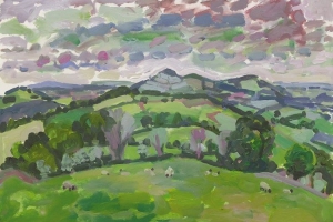 Looking over Bascodyke Looking over Bascodyke