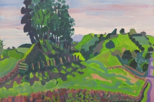 Towards Saddleback Towards Saddleback